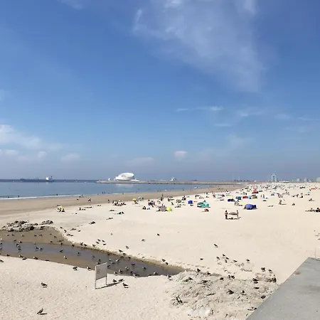 Flh Classic Design With Terrace * Porto