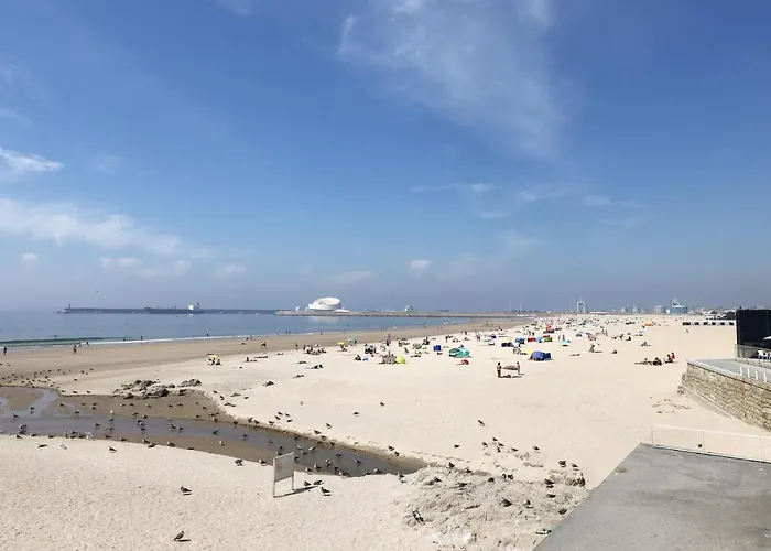 Flh Classic Design With Terrace * Oporto